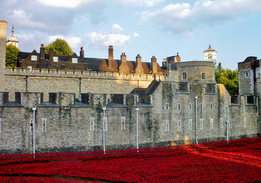 Tower Of London Photograph - Poppies at the Tower by Mary Poulton