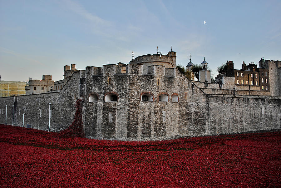 Tower Of London Photograph - Poppies at the Tower of London - In the evening. by Mary Poulton