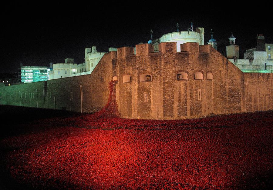 Tower Of London Photograph - Poppies at the Tower of London - Night Time by Mary Poulton