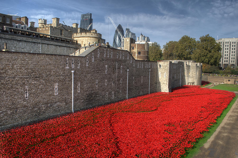 Poppies at the Tower of London Photograph by Chris Day