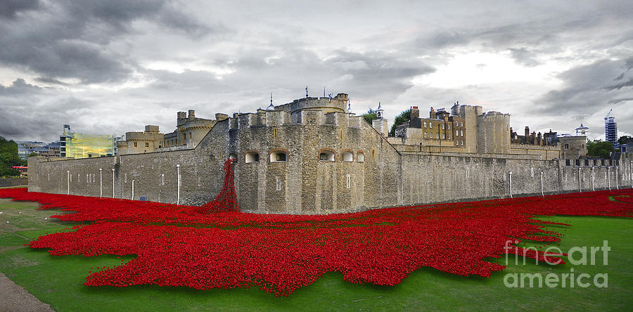 Poppies At The Tower Of London Digital Art by Airpower Art