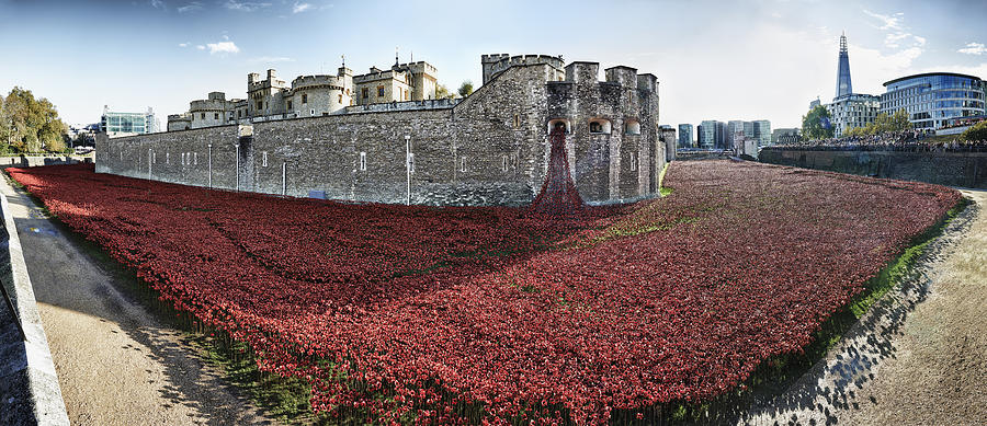 Poppies at Tower Of London by Adrian Brockwell Poppies at Tower Of London by Adrian Brockwell