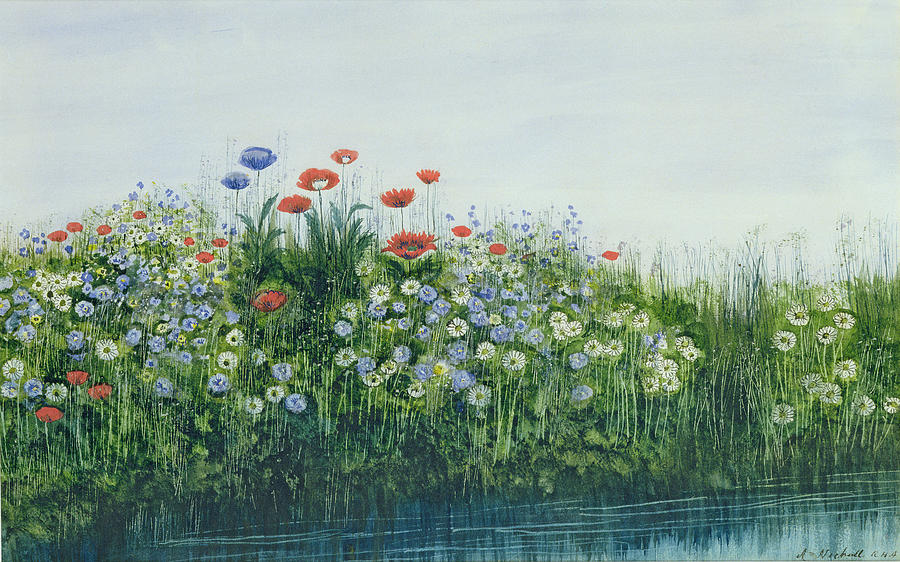 Poppies By A Stream Painting by Andrew Nicholl