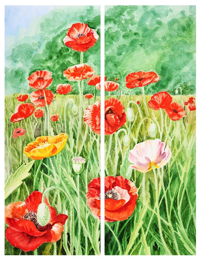 Poppy Painting - Poppies Collage I by Irina Sztukowski
