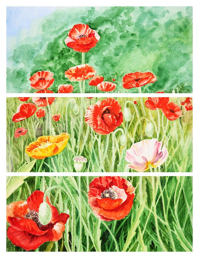 Poppy Painting - Poppies Collage II by Irina Sztukowski