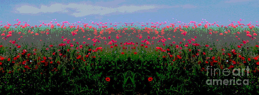 Poppies field Digital Art by Jean luc Comperat