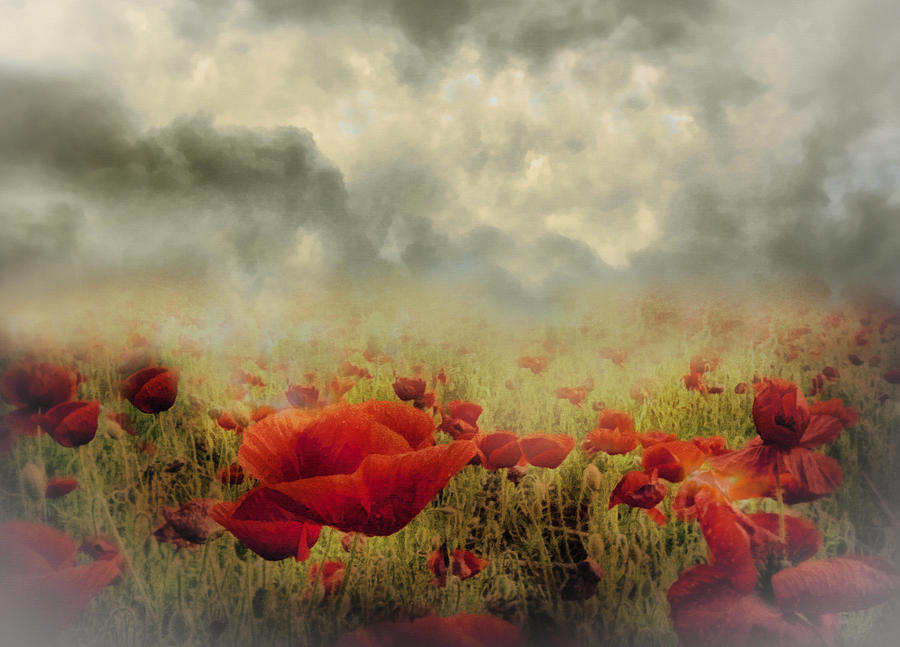 Poppies From Heaven - Vintage Mixed Media by Georgiana Romanovna