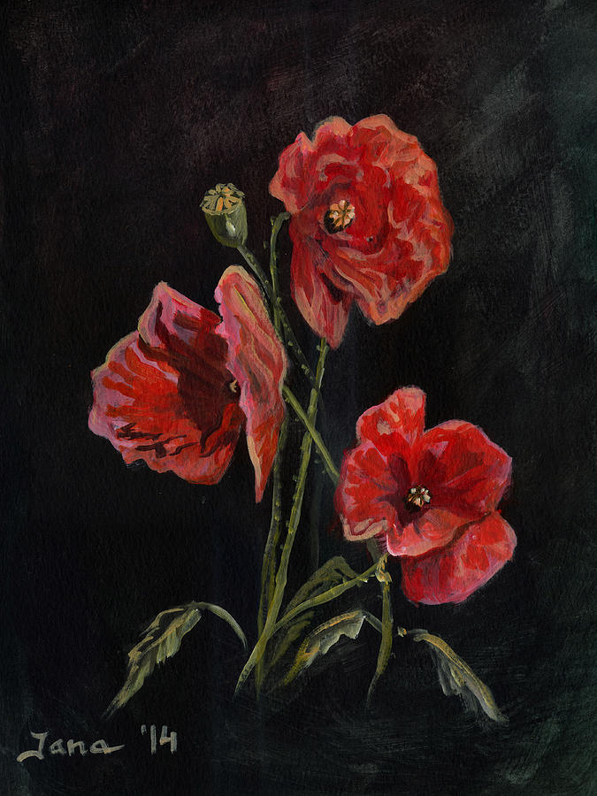 Poppy Painting - Poppies by Jana Goode