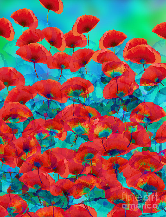 Poppies Digital Art by Klara Acel