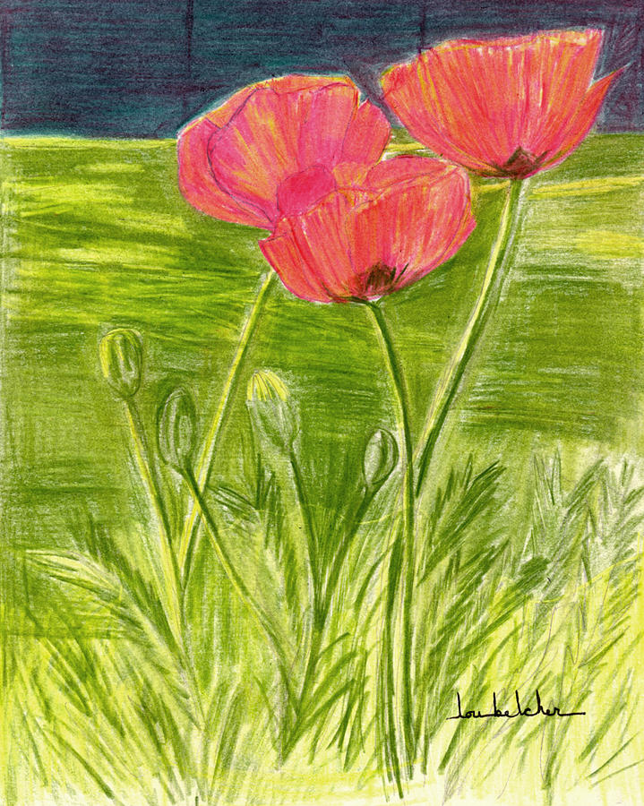 Poppies Painting by Lou Belcher