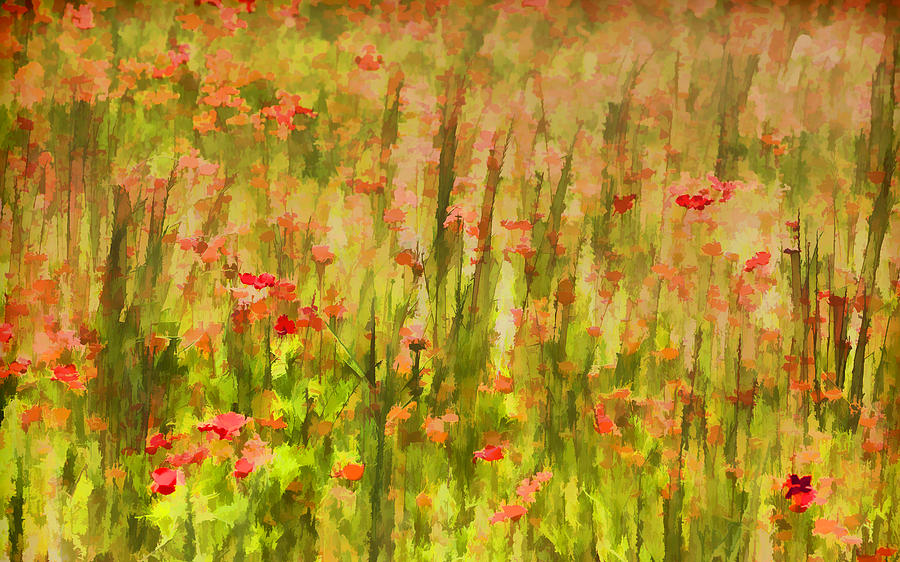 Poppies of Tuscany II Painting by David Letts