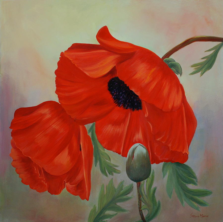 Poppies Painting by Stella Marin