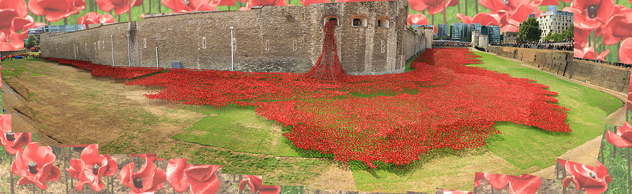 Poppies Tower of London collage Photograph by David French
