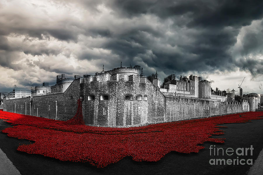 Poppies Tower Of London Digital Art by Airpower Art