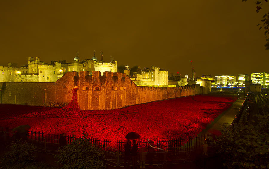 Poppies Tower of London night Photograph by David French