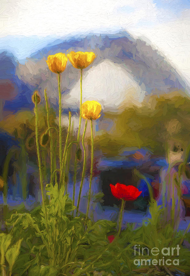 Poppies with Harbour Bridge backdrop Photograph by Sheila Smart Fine Art Photography