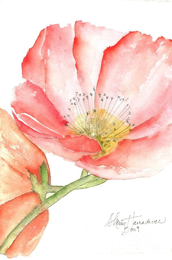 Poppy Bloom Painting by Sherry Harradence