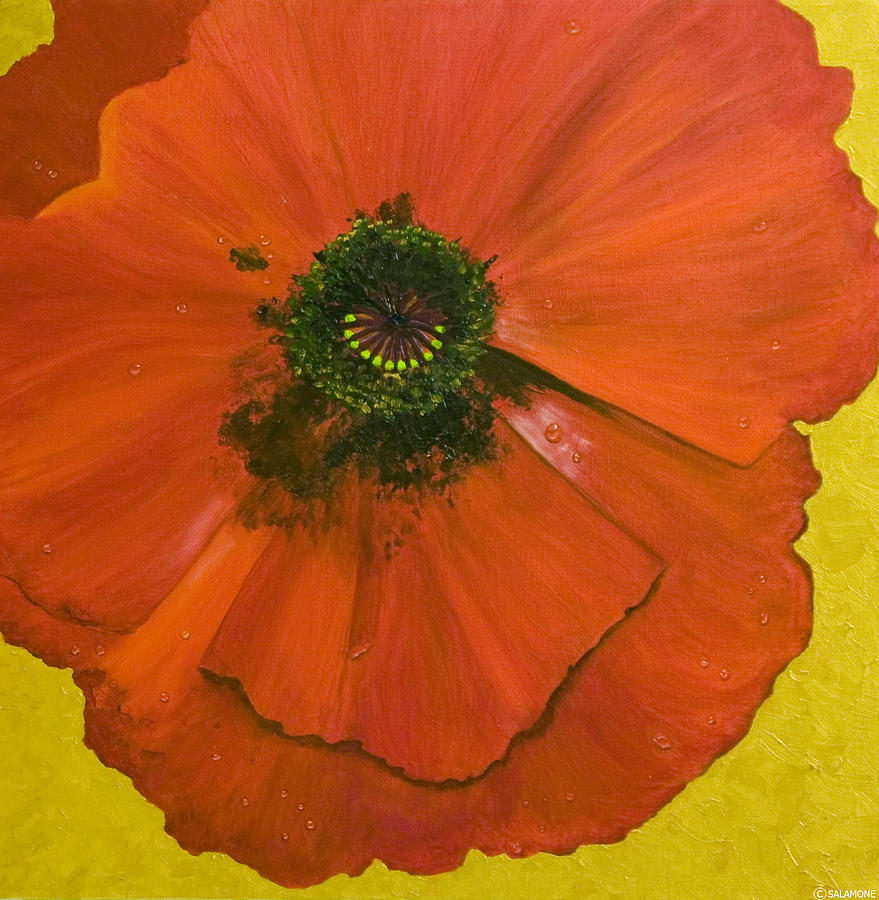 Poppy Painting by Brenda Salamone