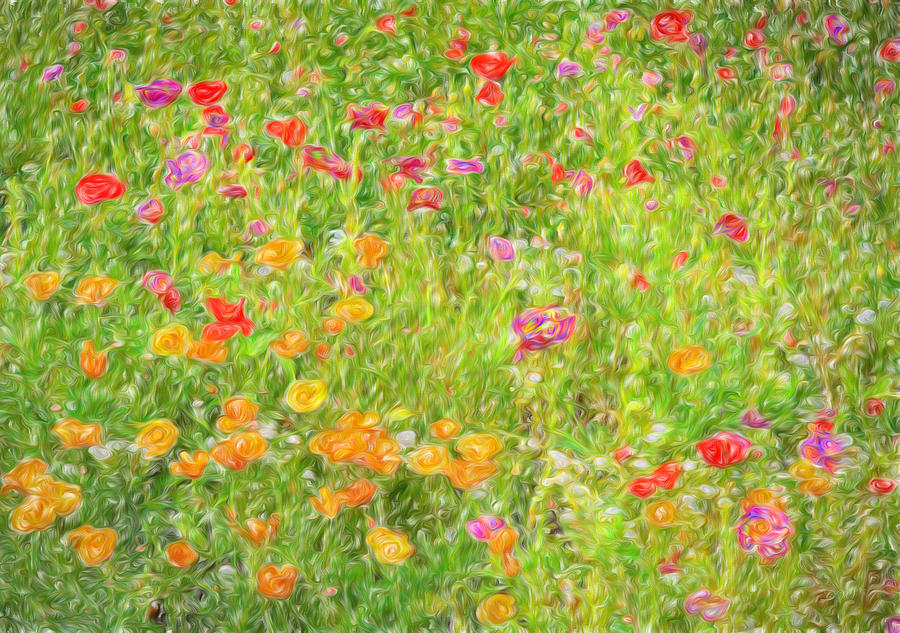 Poppy Confusion Painterly Textured Photograph by Clare VanderVeen
