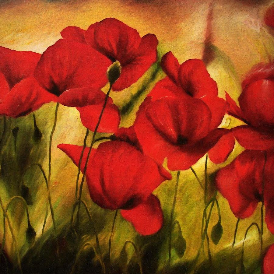 Impressionism Painting - Poppy Flowers At Dusk by Georgiana Romanovna