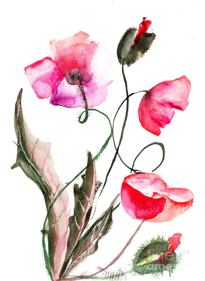 Poppy flowers Painting by Regina Jershova
