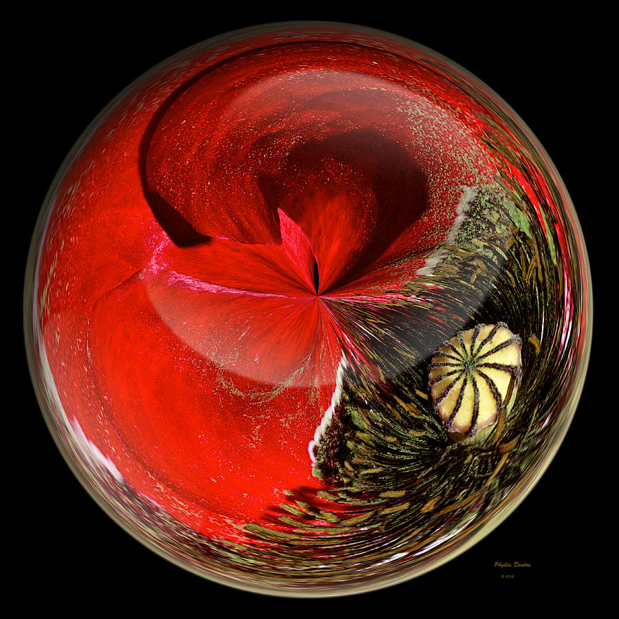 Poppy Globe Photograph by Phyllis Denton