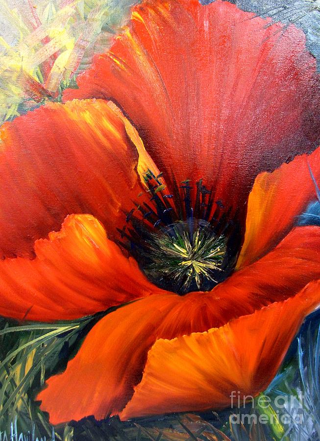 Poppy Red Painting by Barbara Haviland