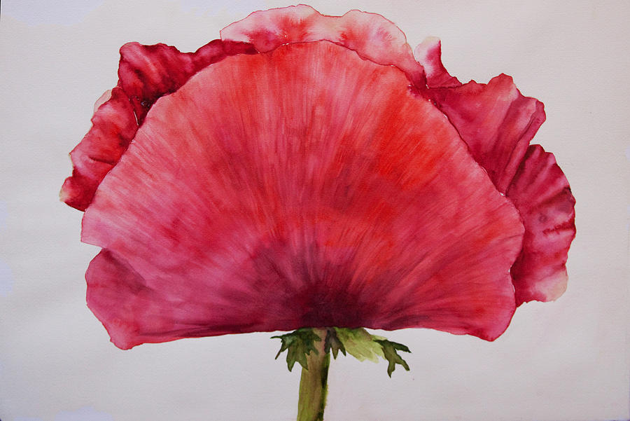 Poppy Painting by Sally Quillin