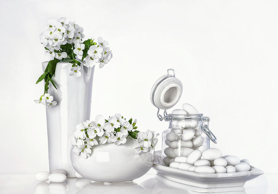 Flower Photograph - Porcelain by Aida Ianeva