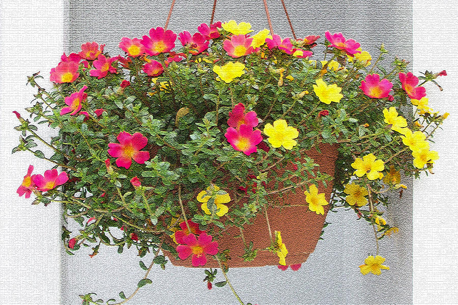 Porch Flowers Photograph