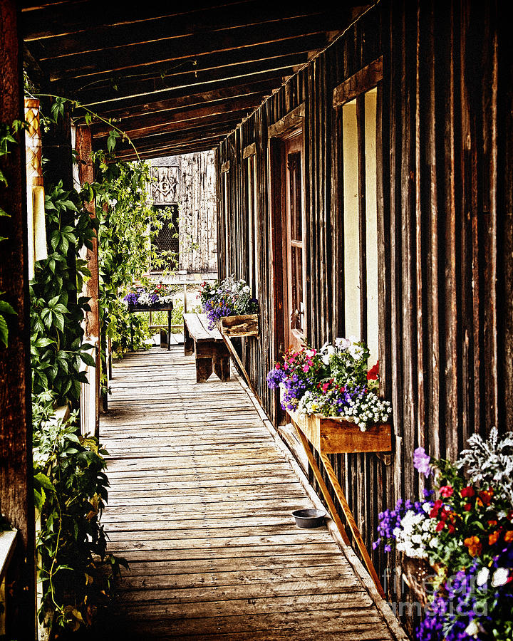 Porch of an Old Country Store Photograph by Lincoln Rogers