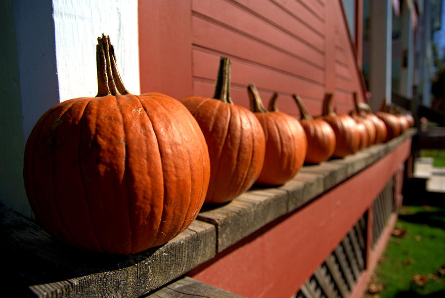 Porch Pumpkins Photograph by Daniel Woodrum