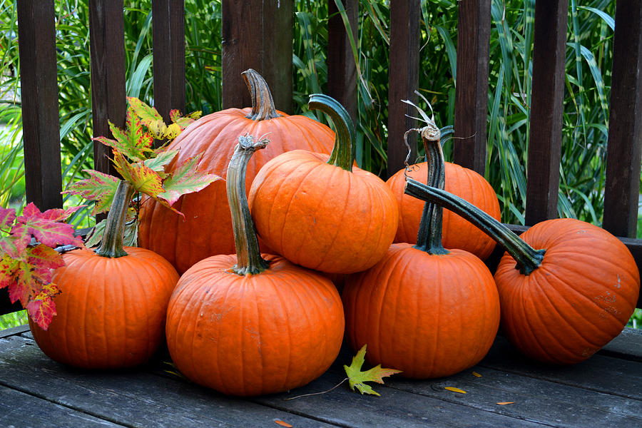 Porch Pumpkins Photograph by Forest Floor Photography