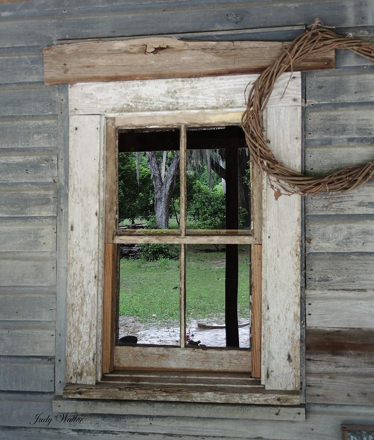 Tree Photograph - Porch Window by Judy  Waller