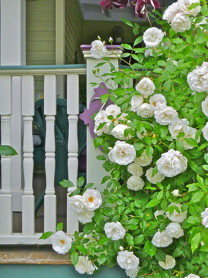 Porch with white roses Photograph by Ellen Paull
