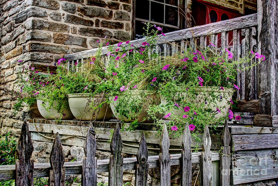 Nature Photograph - Porchful of Glory by Delilah Downs
