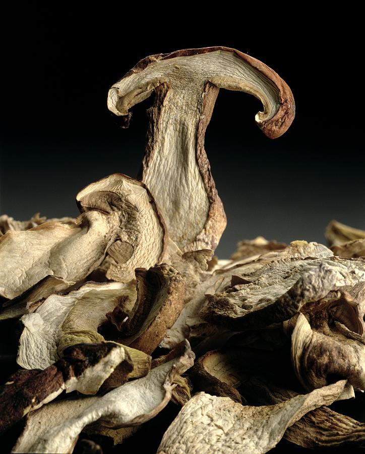 Porcini Mushrooms golgotha Photograph by Norman Hollands