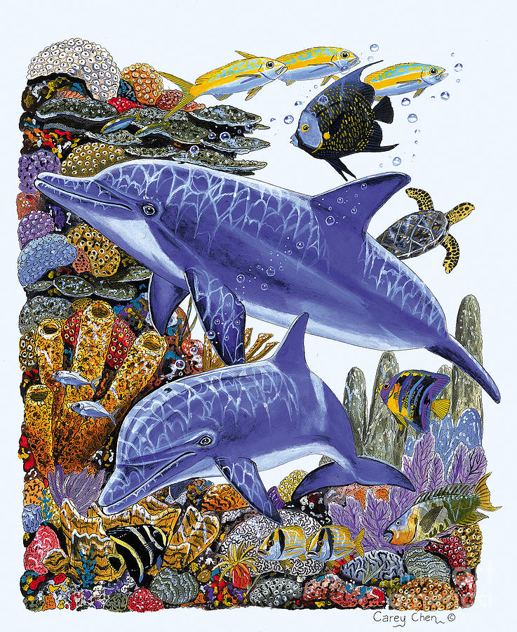 Porpoise Reef Painting