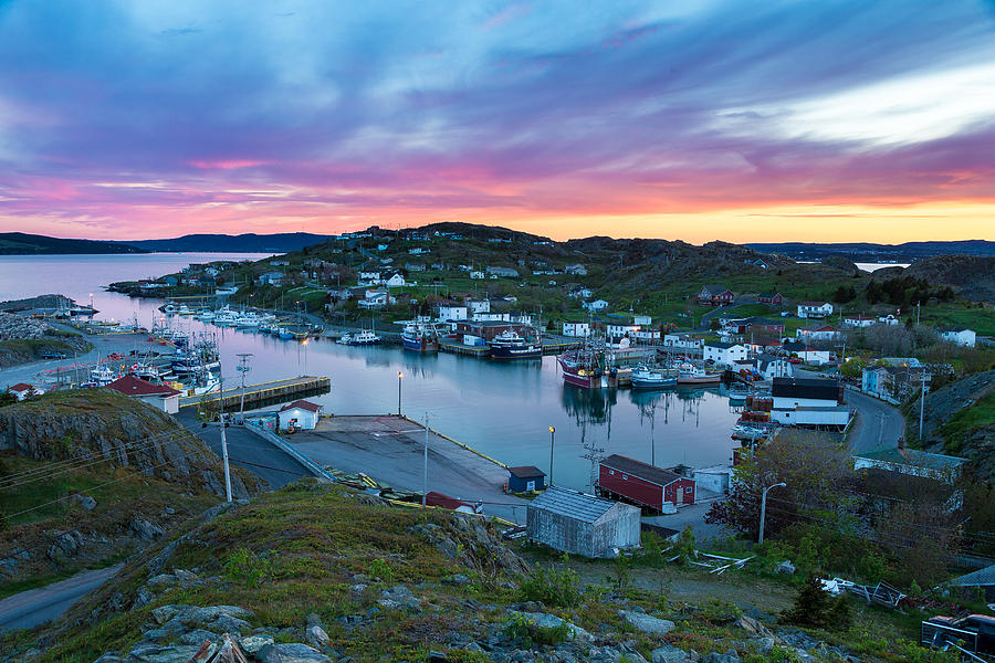 Port De Grave Photograph By Jesse Simmers