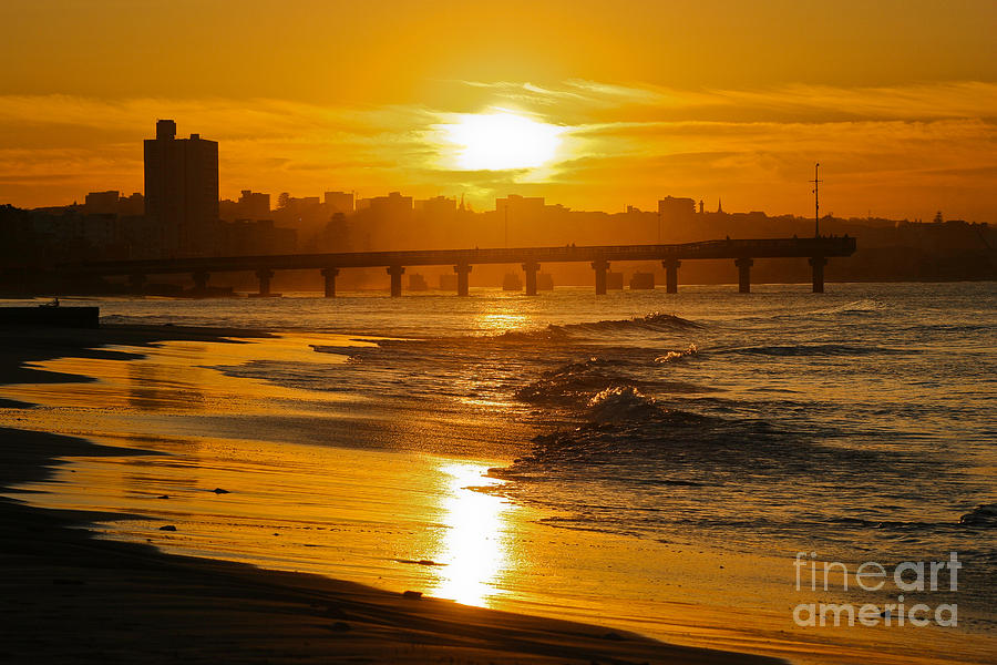 Port Elizabeth Sunset Photograph by Jennifer Ludlum