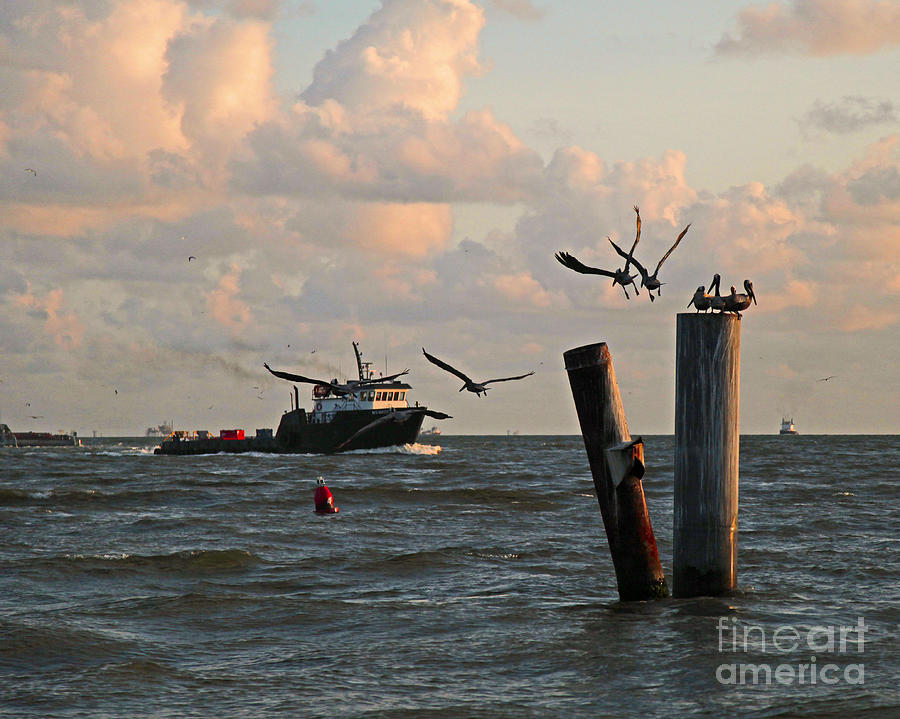 Boat in Port Fourchon Louisiana Photograph by Luana K Perez