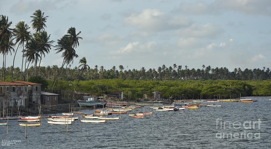 Landscape Photograph - Port of Coconut by Adelmo Leite de Sa