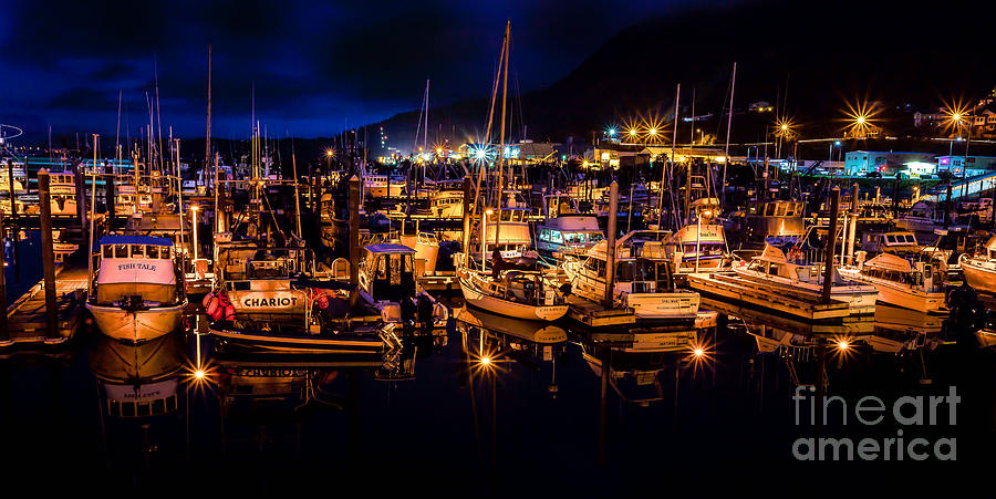 Port of Kodiak Alaska Photograph by Steven Reed