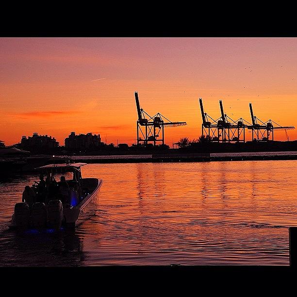 Miami Photograph - Port Of Miami. #miami #miamilife by Therealbiffa Griffin