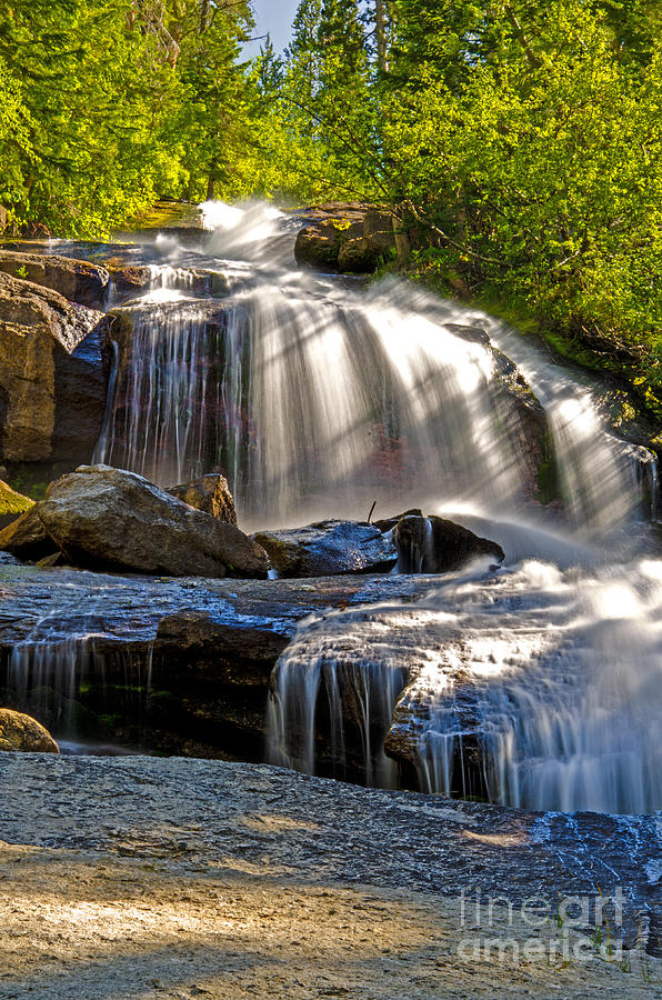 Tree Photograph - Portal Falls by Baywest Imaging