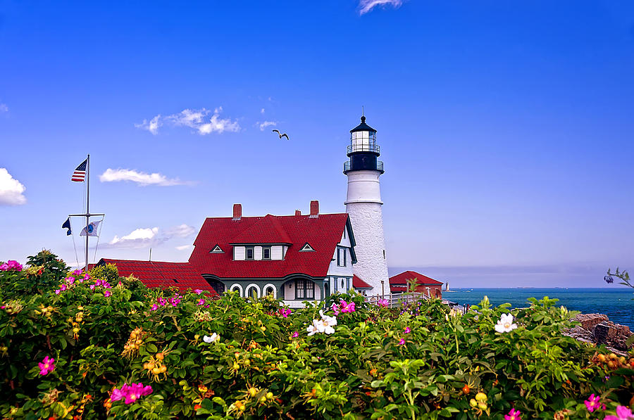 Portland Head Light and Roses Photograph by Mitchell R Grosky