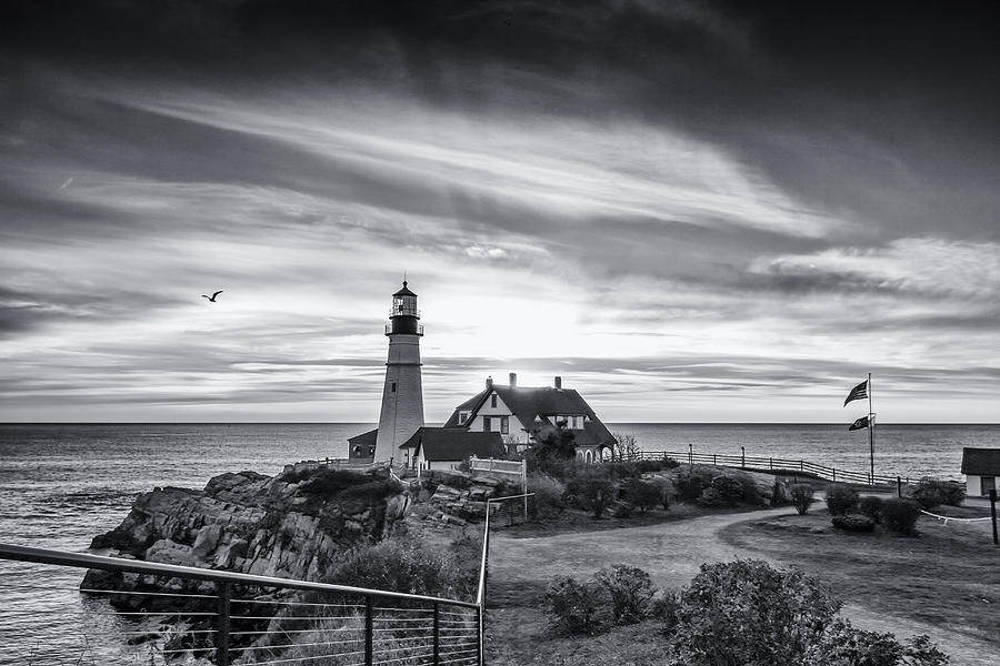 Portland Head Light Black and White Photograph by Shane Borelli | Fine ...