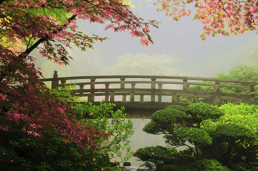 Fall Photograph - Portland Japanese Garden,oregon, USA (pr by Michel Hersen