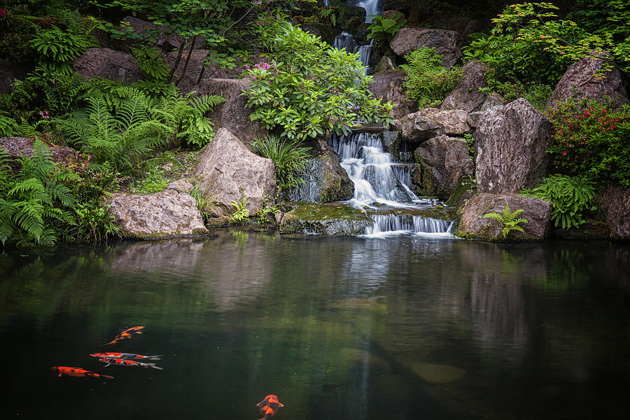 Portland Japanese Gardens Photograph by Thomas Hall