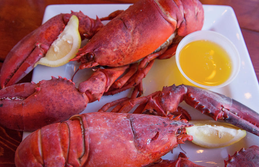 Portland, Maine, Lobster Dinner Photograph by Bill Bachmann